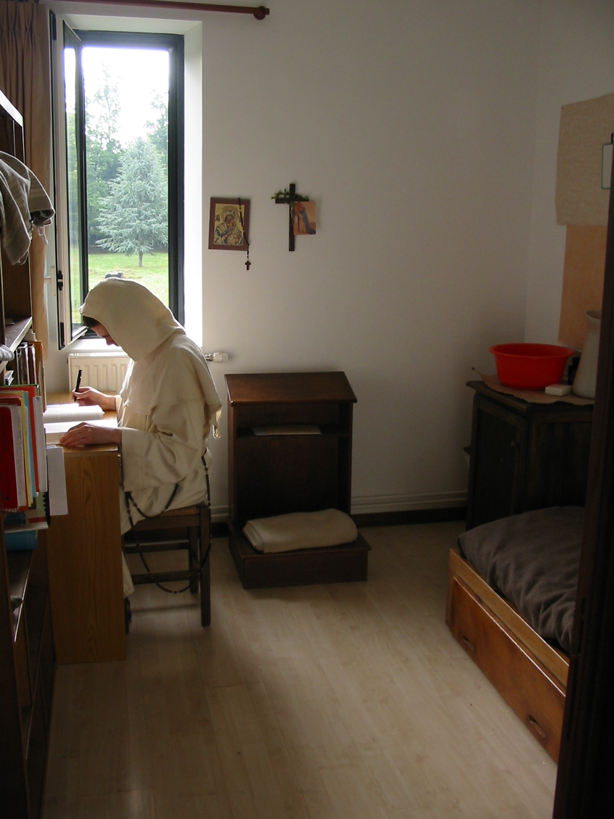 Study in the cell